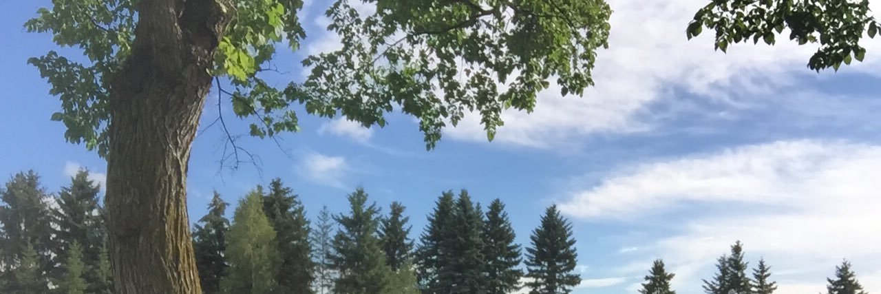 Monie_VPSD_ banner