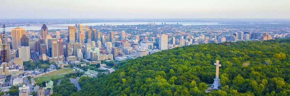 Manon Chevalier 🇨🇦 banner