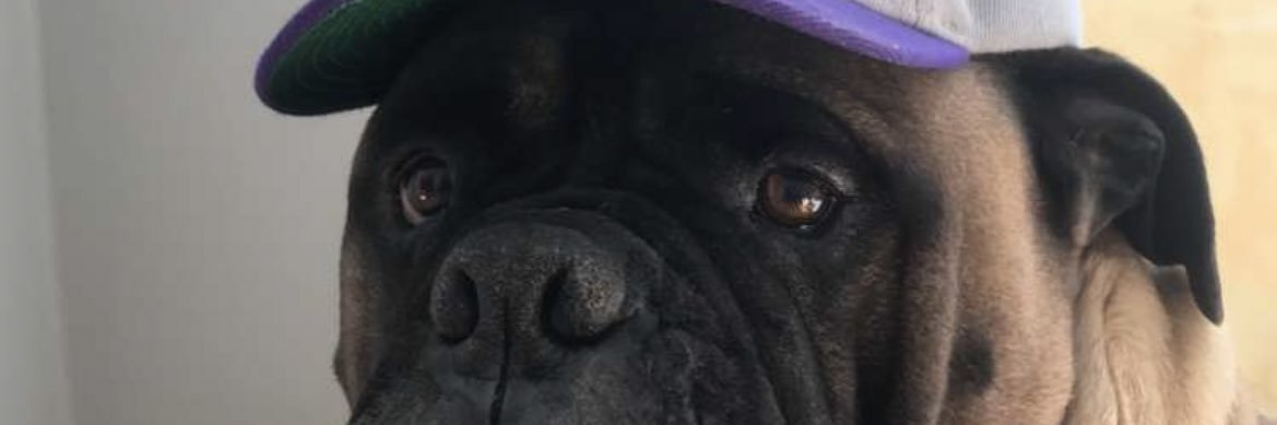 Peche banner