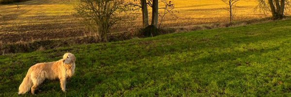 GraceLSDavidson Profile Banner