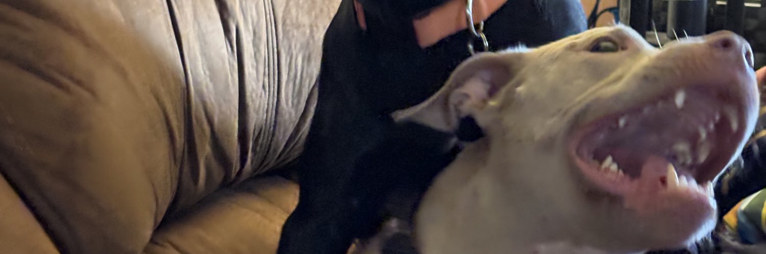 cancelwhitney_'s profile banner image