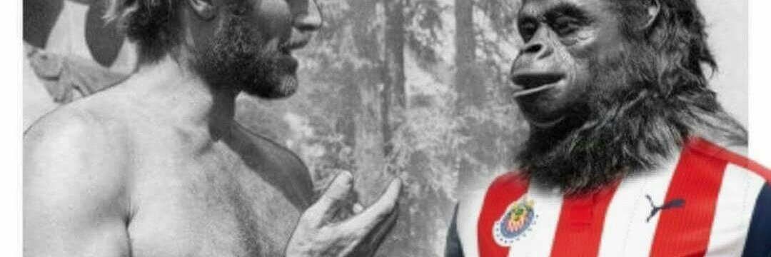 miguel gonzalez banner