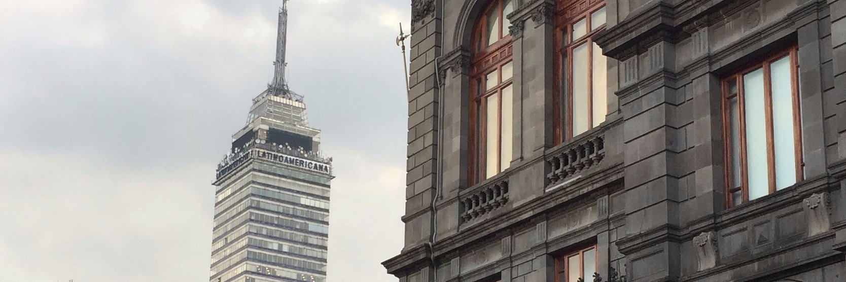 Frida Salinas banner