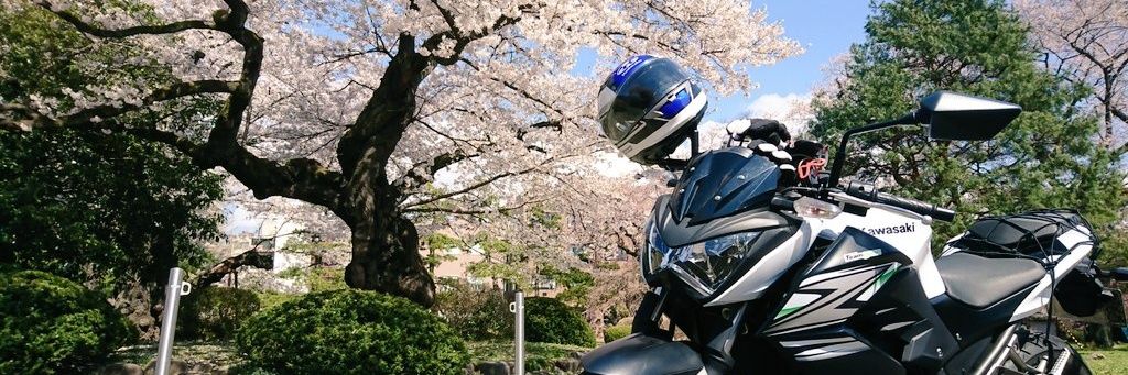 たれめだか banner