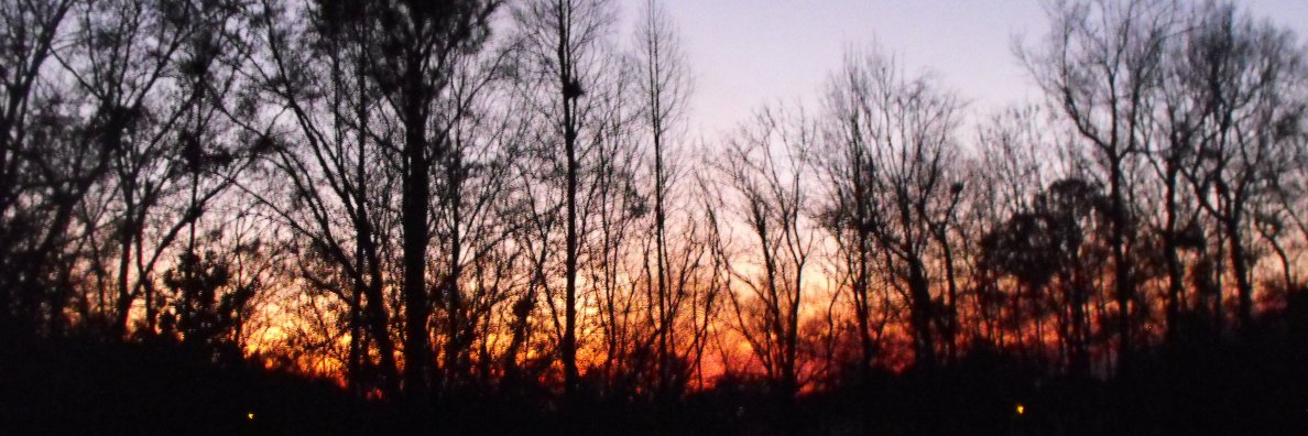 Jon M. Taggart banner