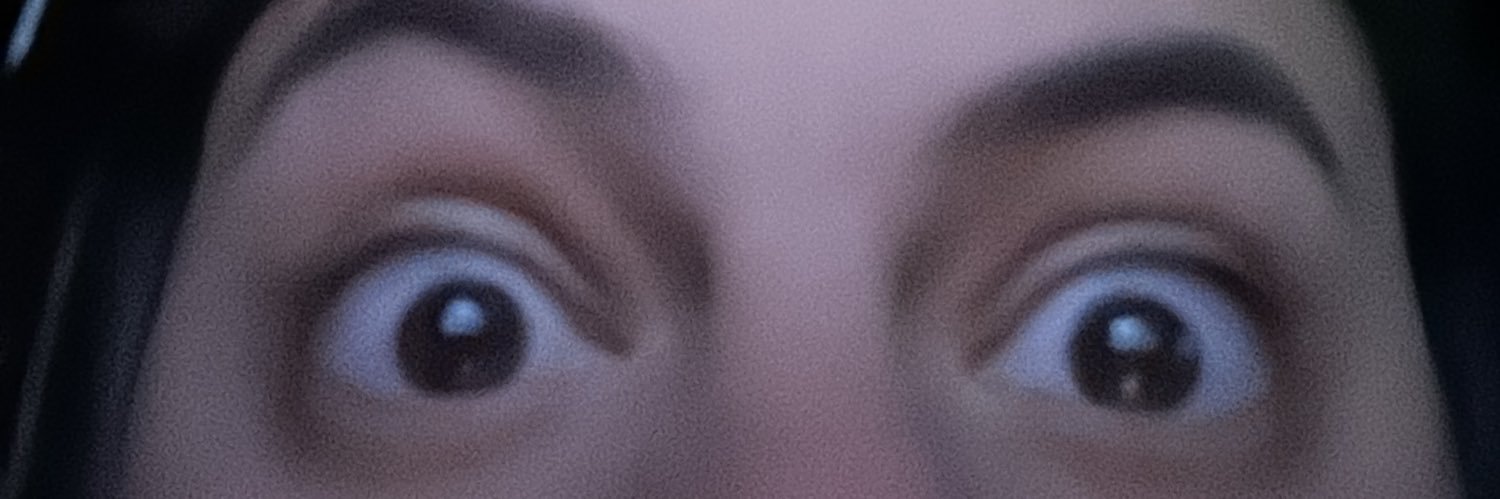 Gaginsky banner