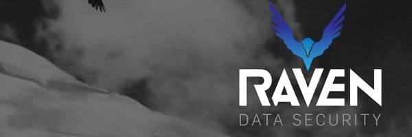 ravendatasec Profile Banner
