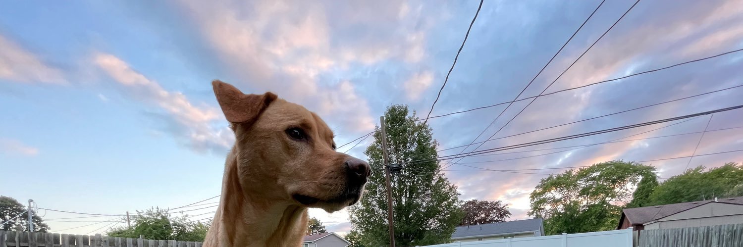 sirbeanbag's profile banner image