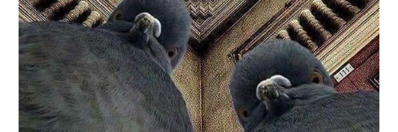 eve_ki's profile banner image