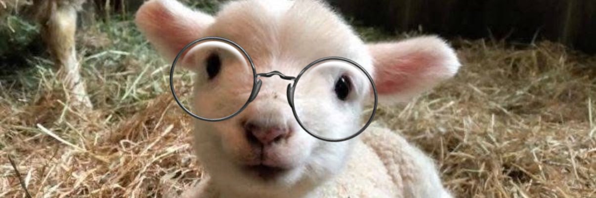 🎃 Ensi de Pointe du Lac 🎃 banner