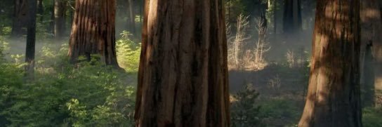 サトエダ banner