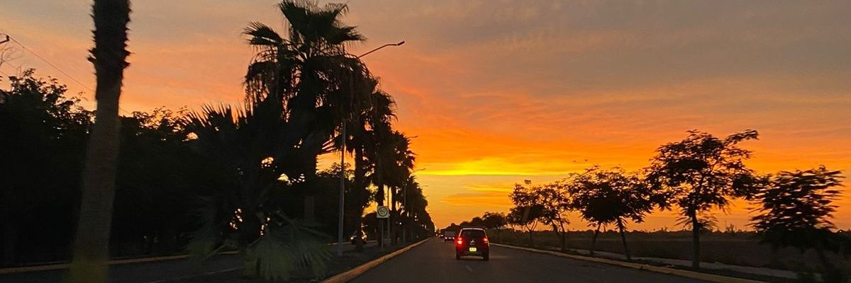 FernandoLpezB's profile banner image