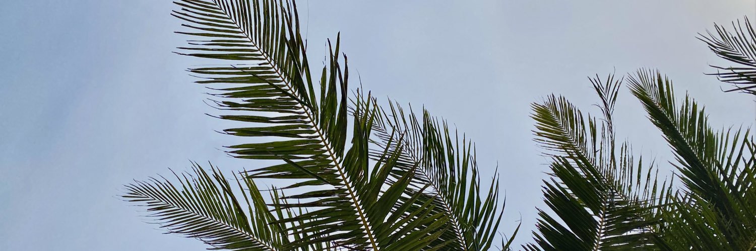 nmienbo's profile banner image