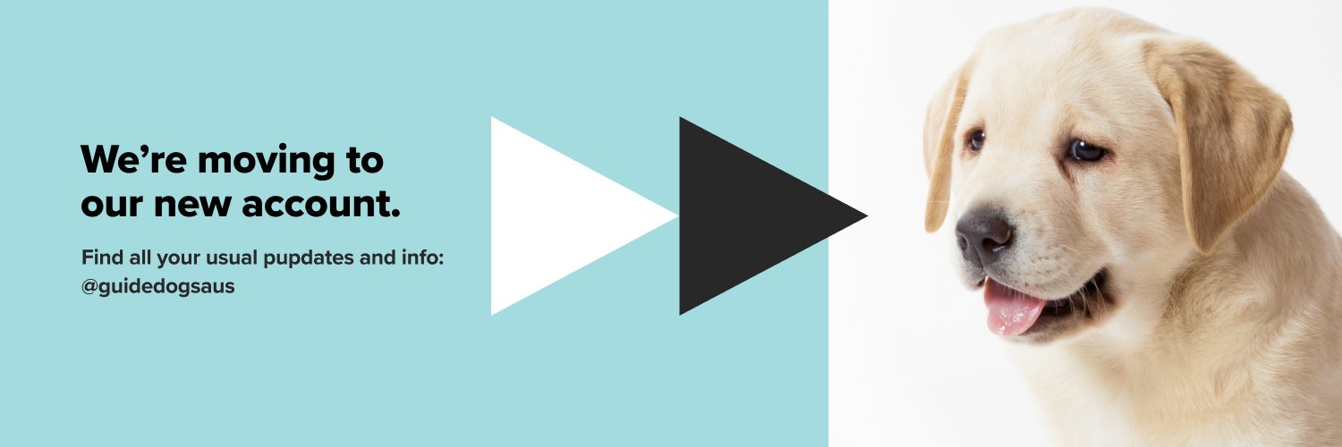 Guide Dogs NSW/ACT banner