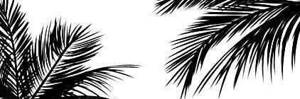 baumancaseyy's profile banner image