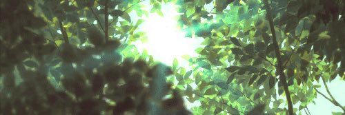Aless's banner