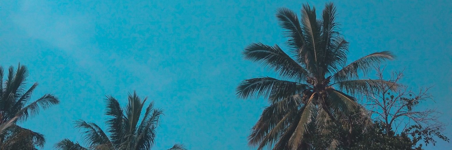 oktaputra31's profile banner image