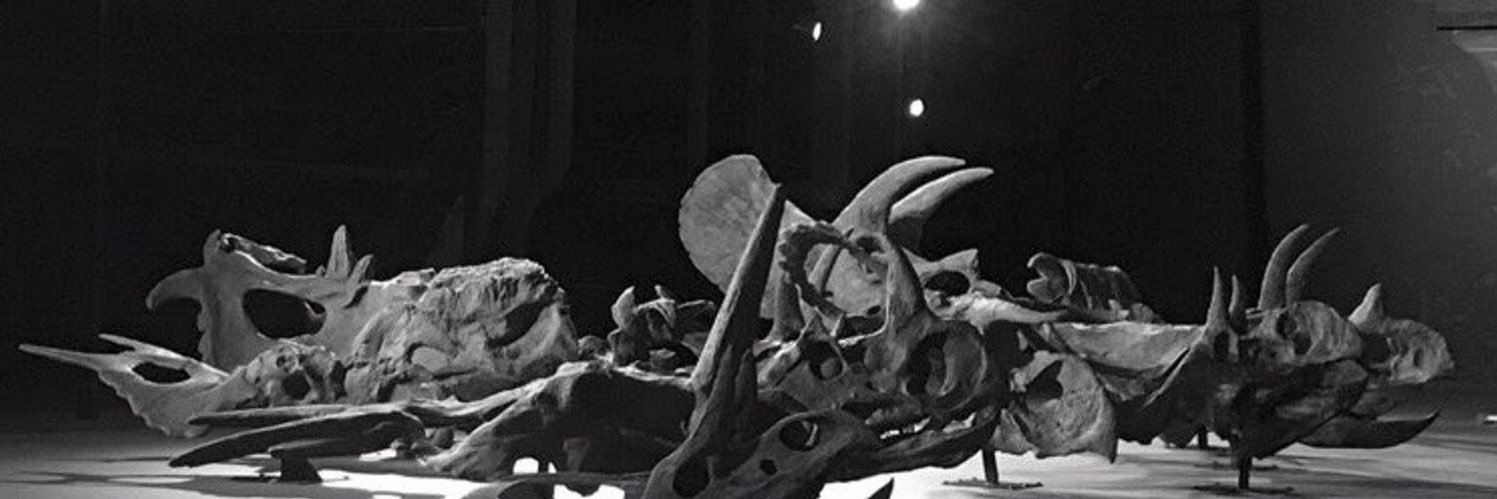 ウナギを食べるのをやめたケラトプスユウタ banner