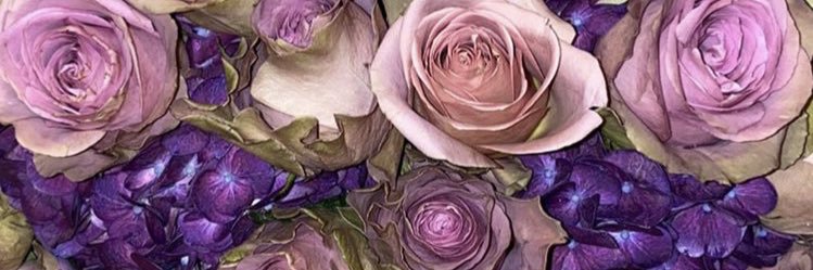crysmarissa's profile banner image