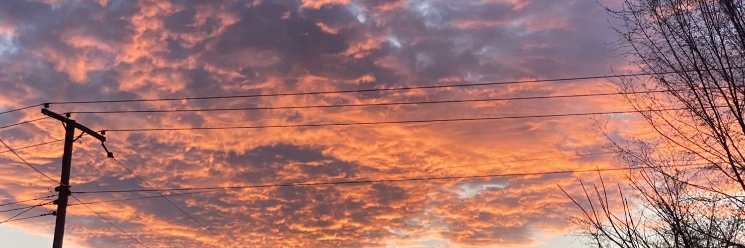 💟 Taurus_Queen♉ banner