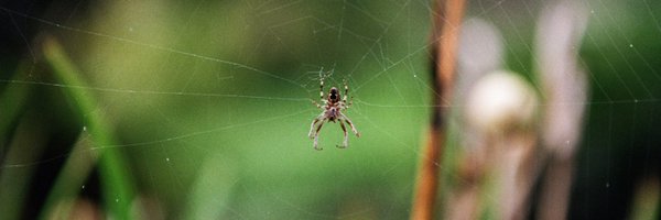 aaron_hemens Profile Banner