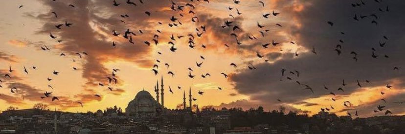 Ze_Pequ's profile banner image