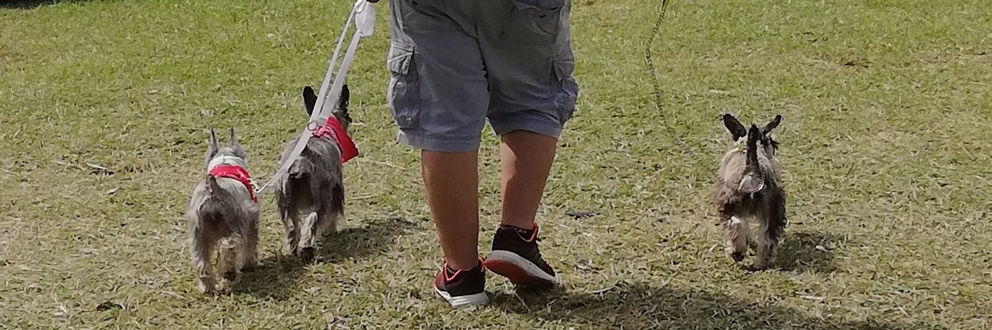 DougMor3no's profile banner image