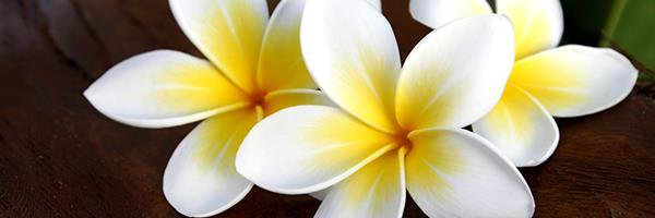 kaiiRHA's profile banner image