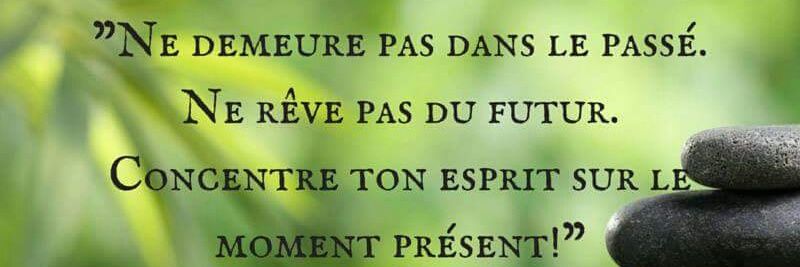 Brigitte A TONON banner