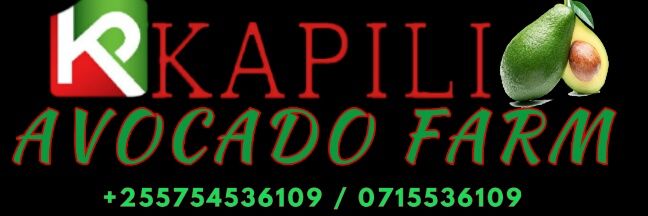 Kakapesaa's profile banner image