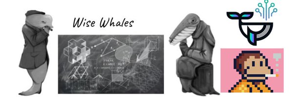 dave - @WiseWhales Profile Banner