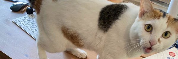 JorisFalter Profile Banner