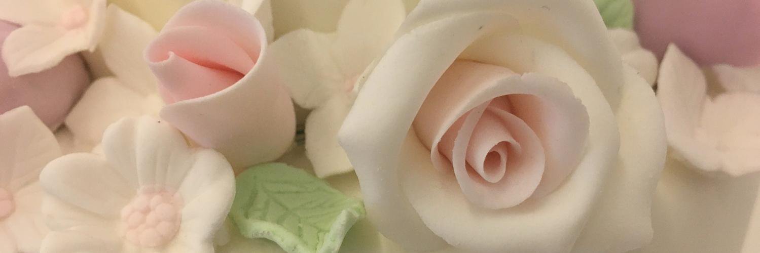 Haveanicecake's profile banner image