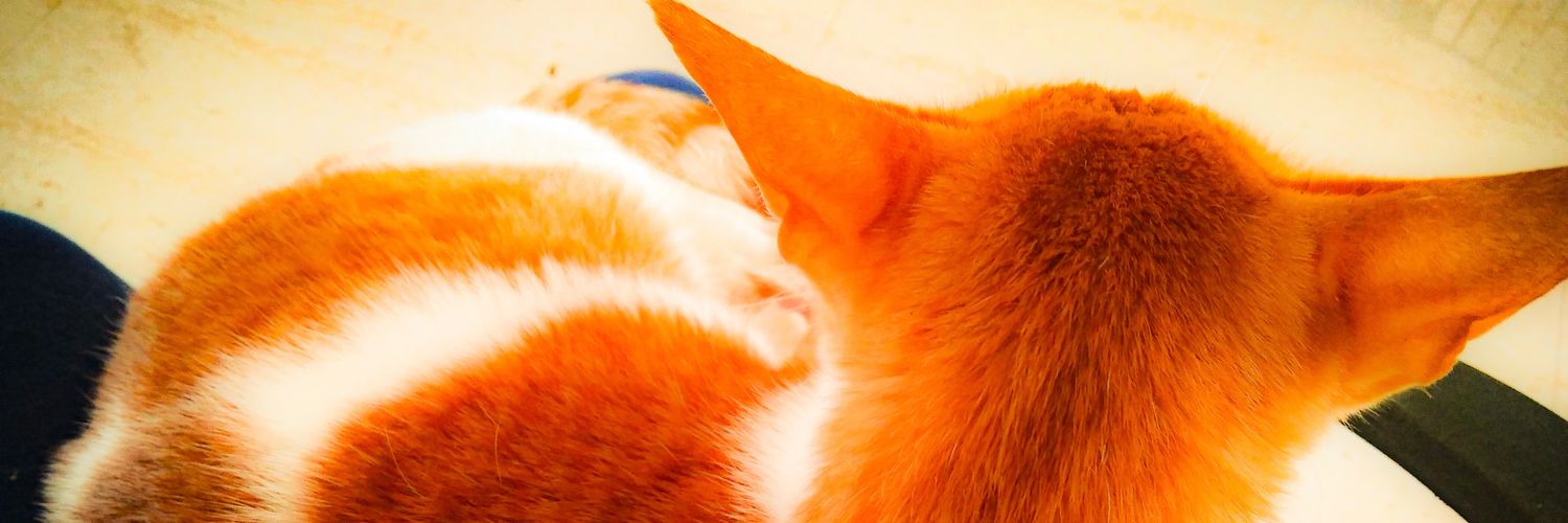 manukurup's profile banner image