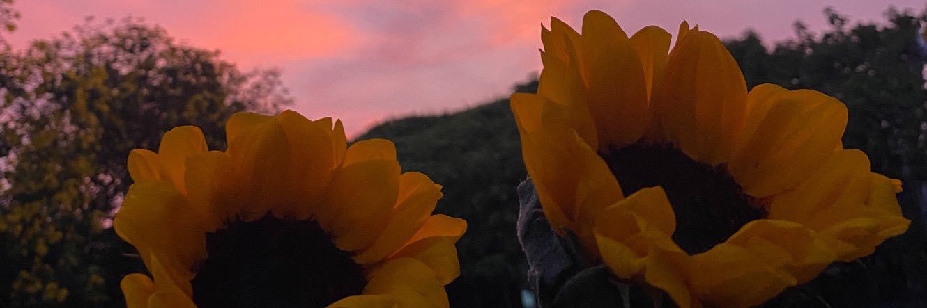 🌻🦈 ft.แอบรักเหออวี่ banner