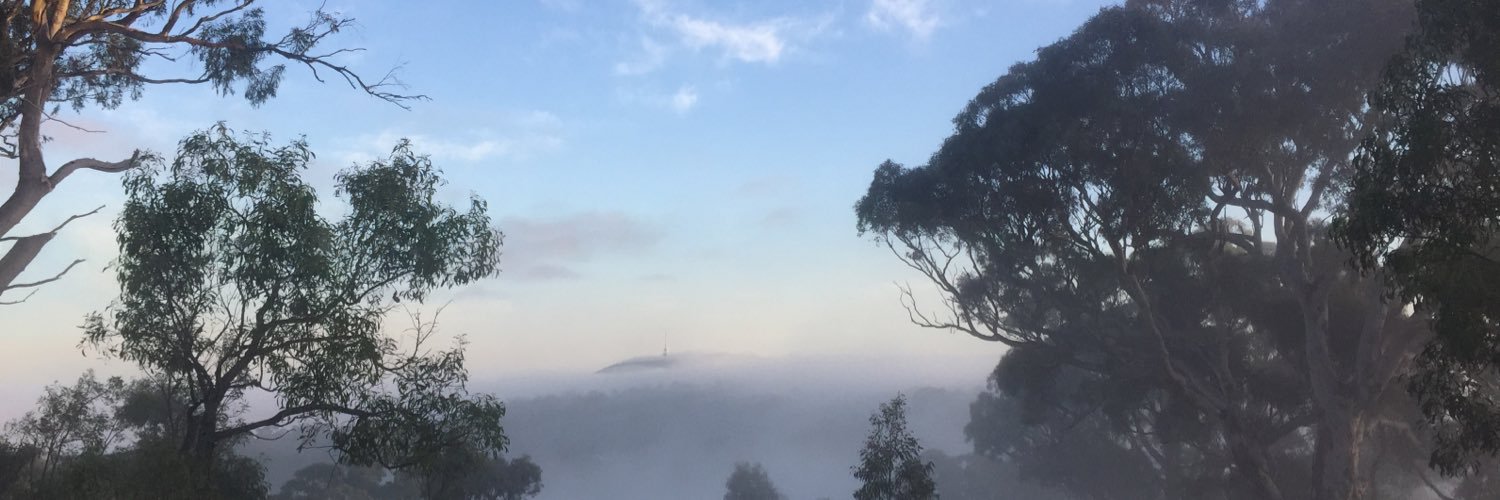 Imogen Mitchell banner