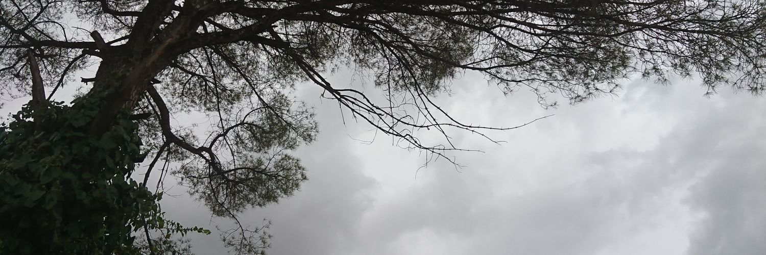 chetinok's profile banner image