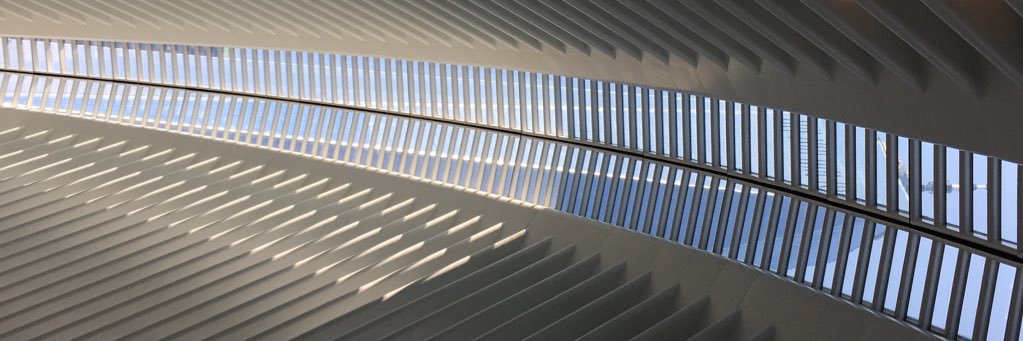 Steve Sayers 🏴󠁧󠁢󠁳󠁣󠁴󠁿in🇬🇧=👍🏼 banner