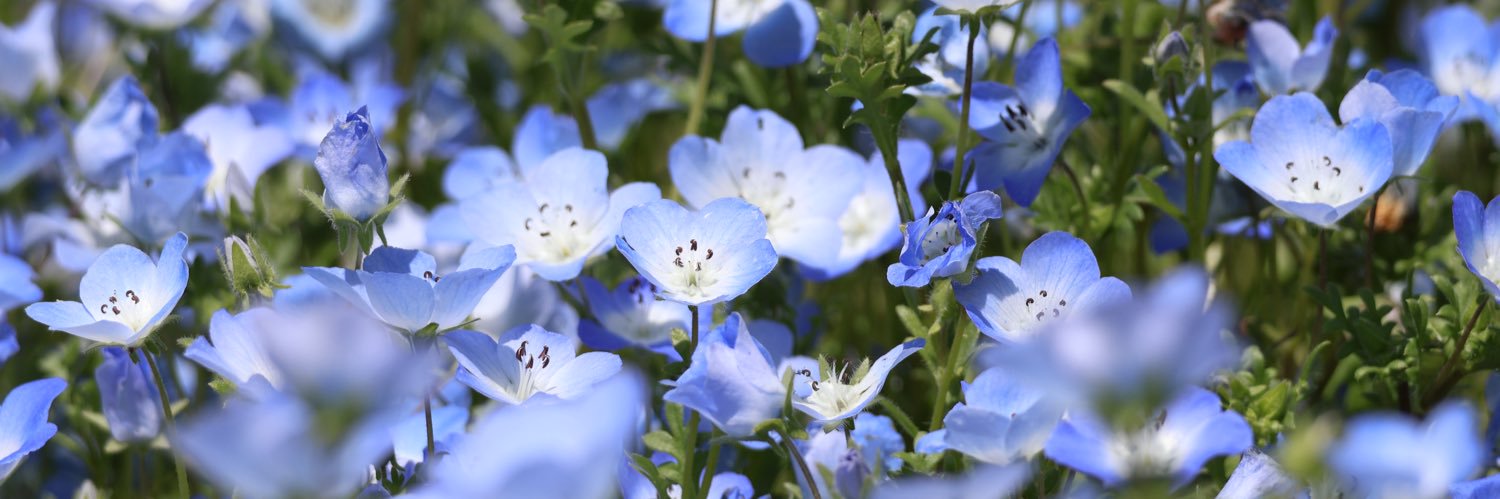 そら💙✨ banner