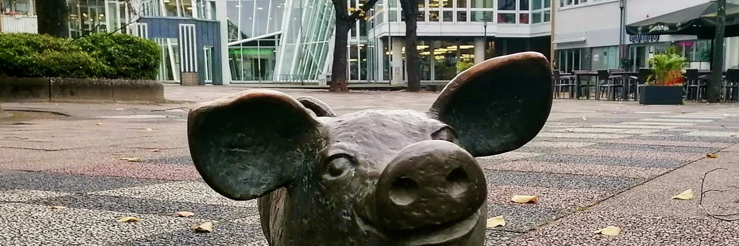 Stadtbibliothek Neuss banner