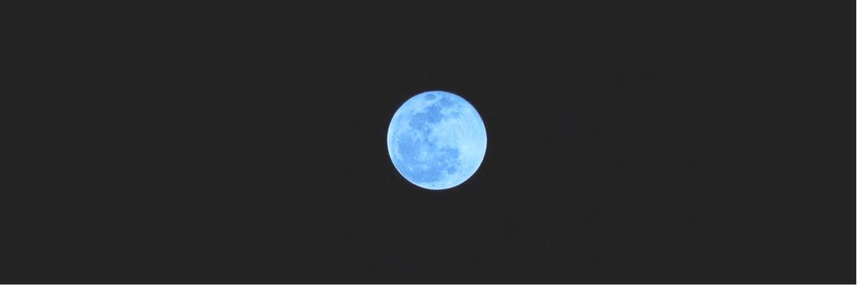 manfowx's profile banner image
