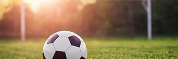 robinparkfc Profile Banner