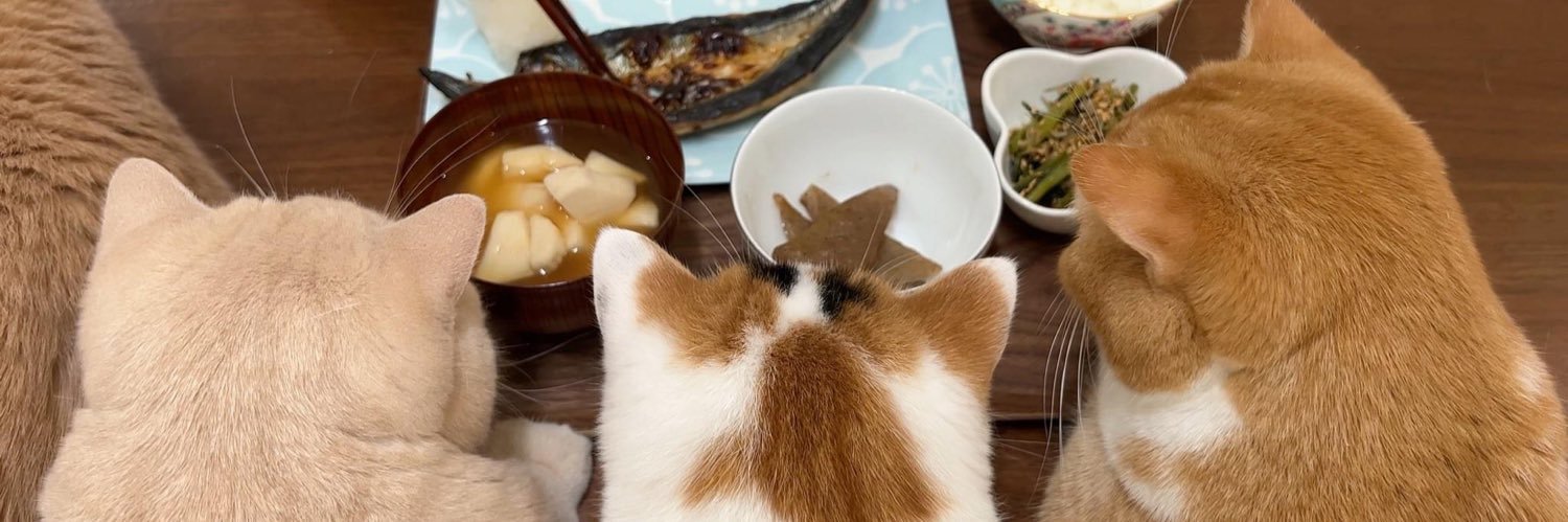 ⸝⸝⸝ ꕤ 𝘄𝗲𝗮𝗿𝗲𝘄𝗮𝗻𝗱𝗲𝗿𝗹𝘂𝘀𝘁𝗲𝗿 ◡̈⃝♡ banner