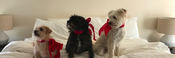 cckarl Profile Banner