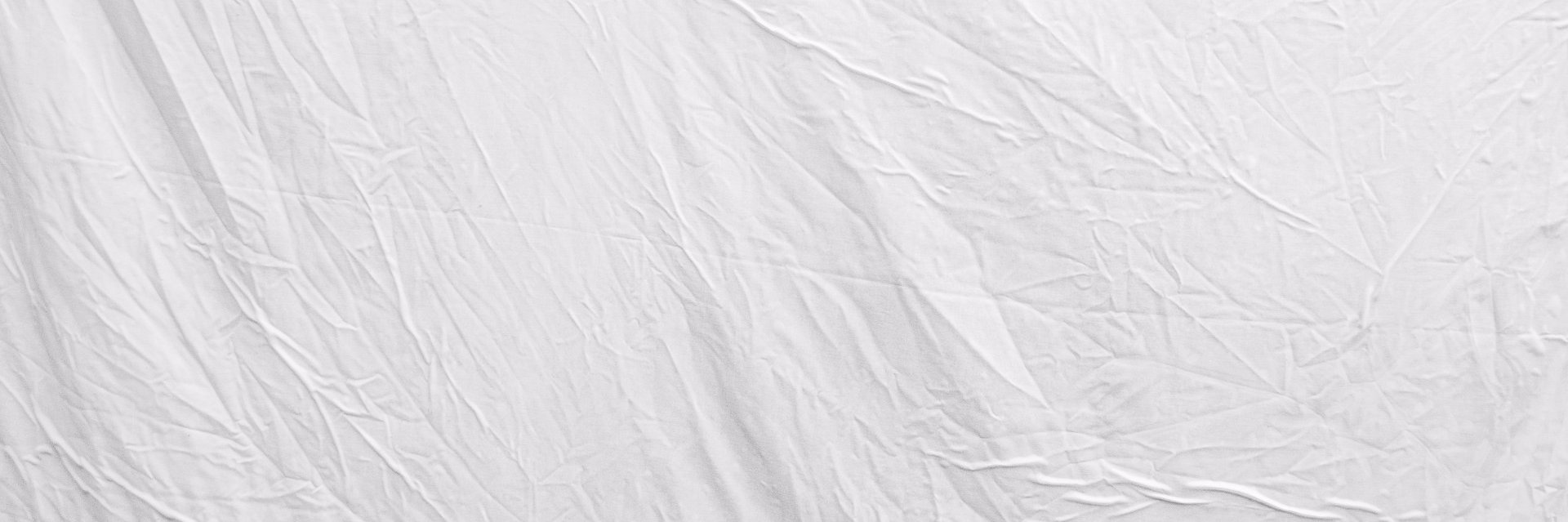 eisforestefano's profile banner image