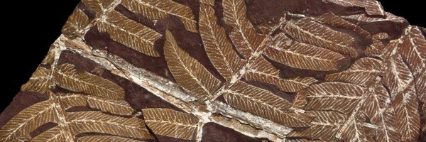 PaulKenrick2 Profile Banner