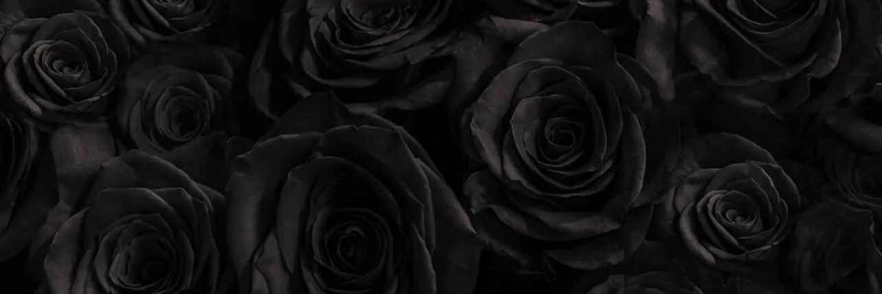 _crysr's profile banner image
