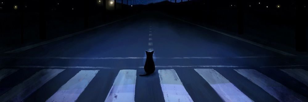 moriyu315's profile banner image