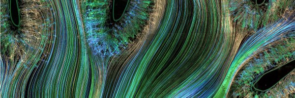 JellinaP Profile Banner