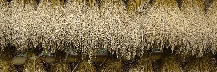 BejoBejountung's profile banner image